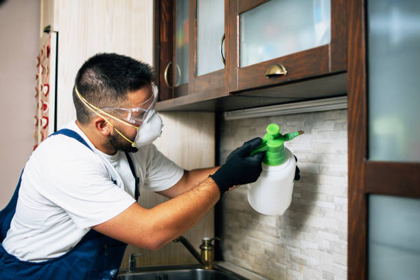 Best Pest Removal Services  in Glen Rock, NJ
