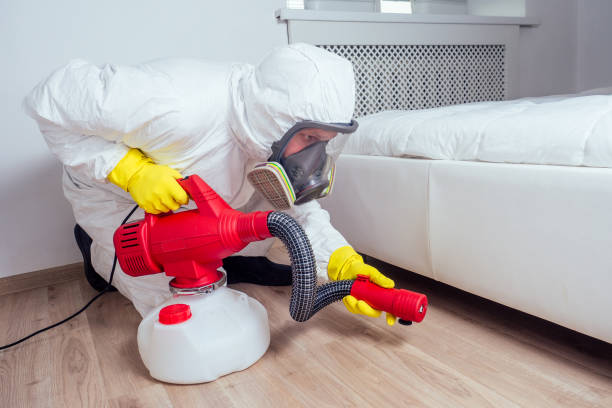 Best Termite Control Services  in Glen Rock, NJ