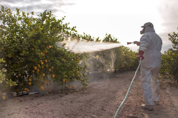  Glen Rock, NJ Pest Control Pros