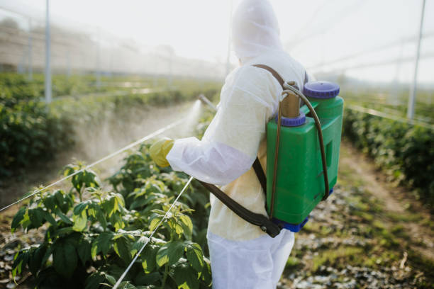 Best Best Pest Control Companies  in Glen Rock, NJ
